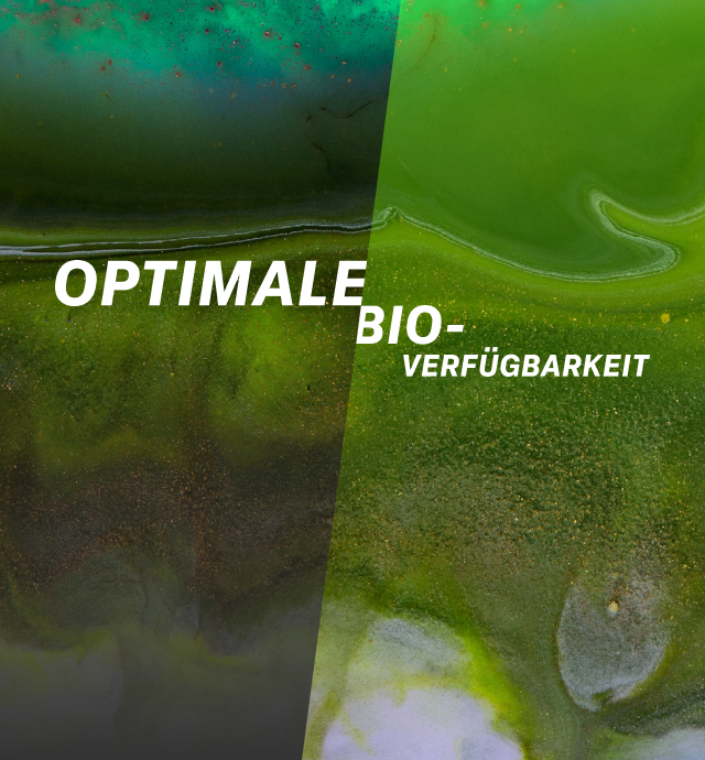 Optimale Bioverfügbarkeit. Grüner Hintergrund