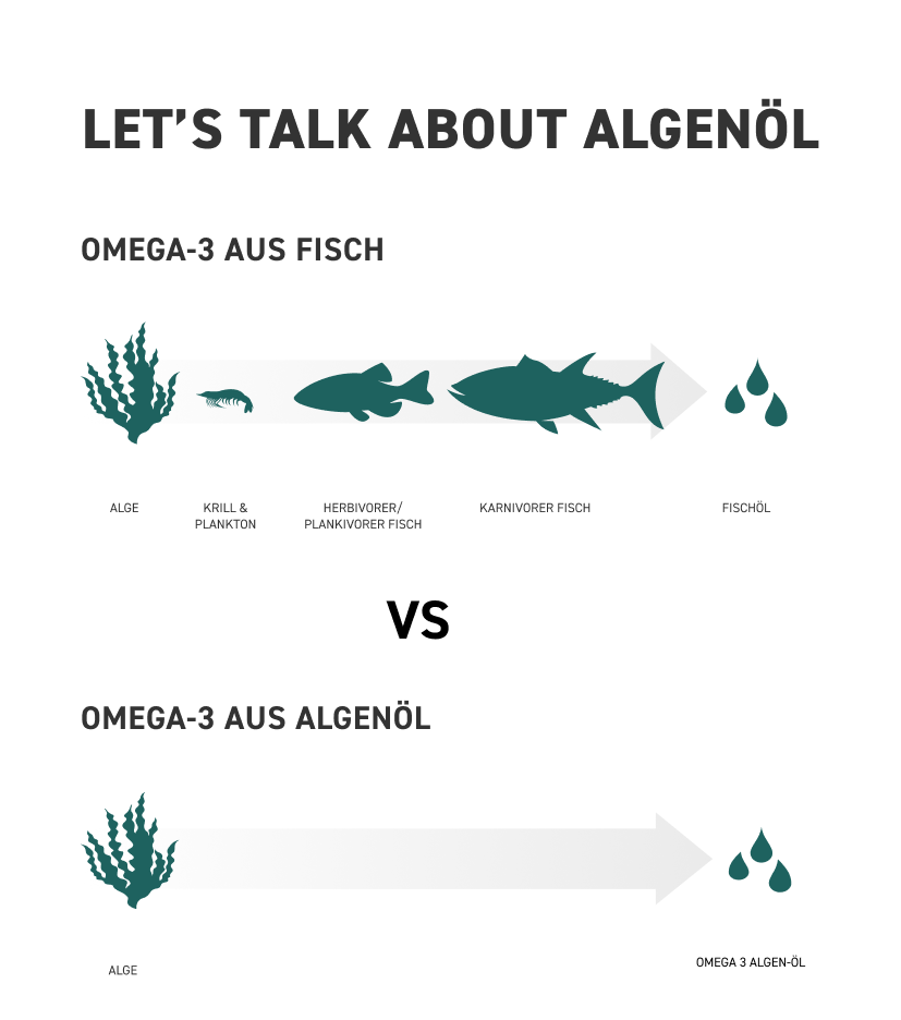 Vergleich zwischen umweltbelastendem Fischöl und unserem nachhaltigen Algenöl
